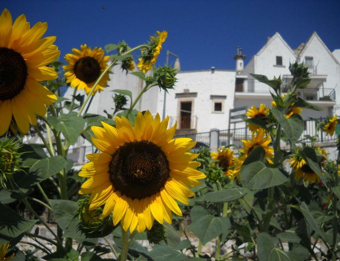 Cuore Dei Venti Martina Franca Kültér fotó